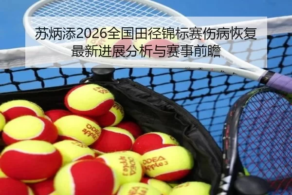 苏炳添2026全国田径锦标赛伤病恢复最新进展分析与赛事前瞻