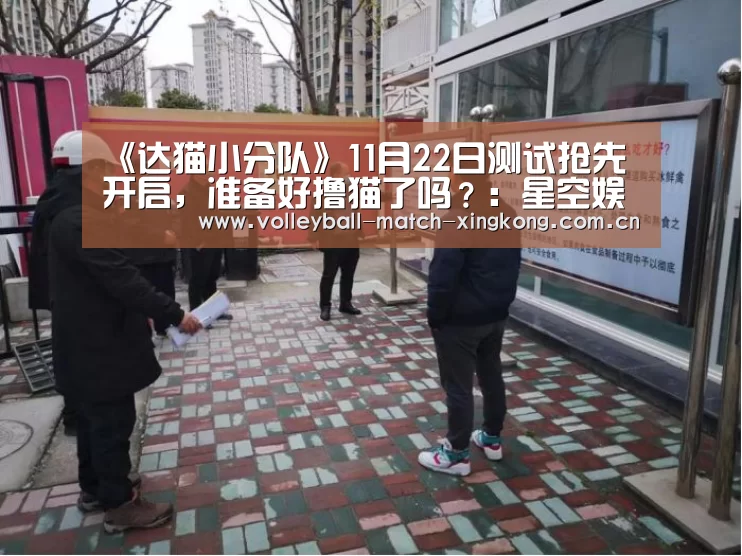 《达猫小分队》11月22日测试抢先开启,准备好撸猫了吗?:星空娱乐(图1) 星空娱乐