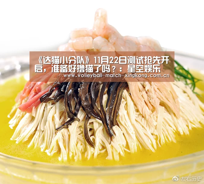 《达猫小分队》11月22日测试抢先开启,准备好撸猫了吗?:星空娱乐(图2) 星空体育网站