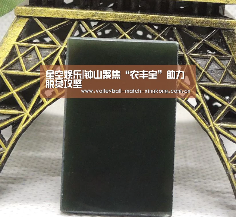 星空娱乐|钟山聚焦“农丰宝”助力脱贫攻坚(图4) 星空体育网站