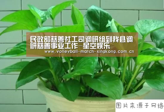 民政部慈善社工司调研组到我县调研慈善事业工作-星空娱乐(图1) 星空体育