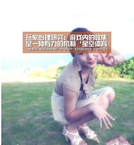 玩家心理研究:游戏内的收集是一种有力的机制‘星空体育网站’(图1) 星空娱乐