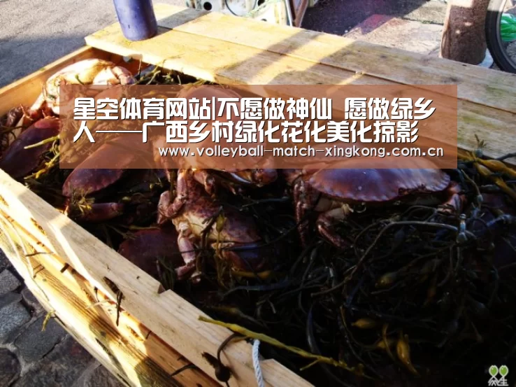 星空体育网站|不愿做神仙 愿做绿乡人——广西乡村绿化花化美化掠影(图2) 星空体育网站