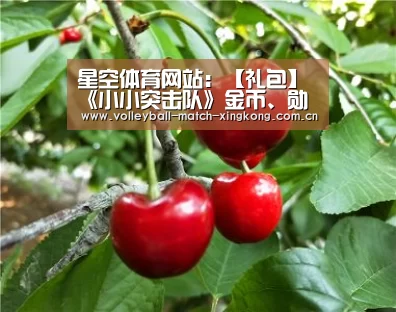 星空娱乐