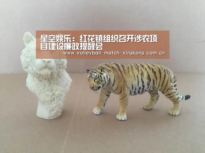 星空娱乐:红花镇组织召开涉农项目建设廉政提醒会(图3) 星空体育网站