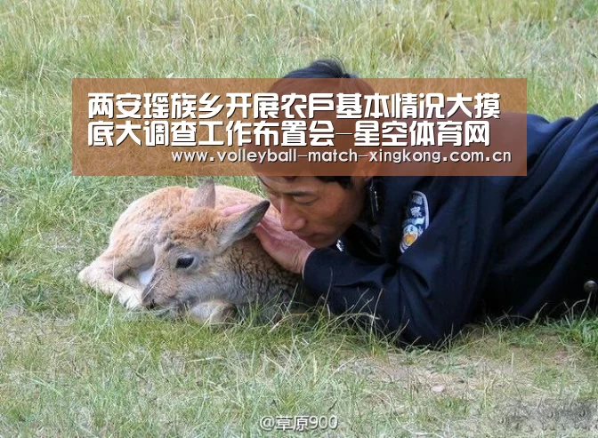 星空娱乐